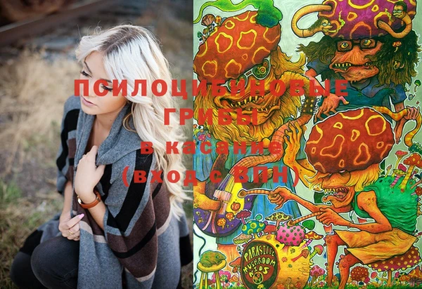 молекула духа Армянск